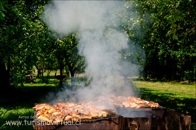 Camping Las Araucarias