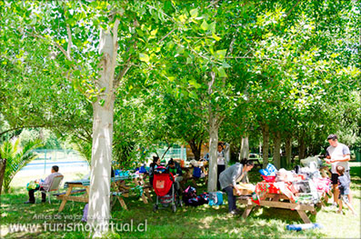 Camping Las Araucarias